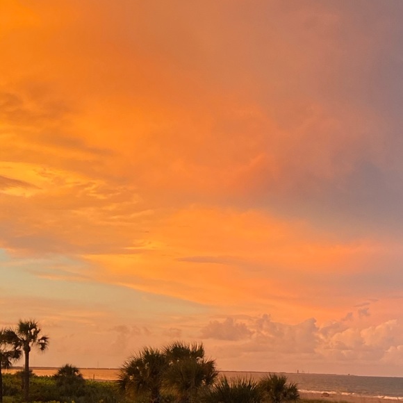 Meet your Posher, Lisa - Picture 5 of 7